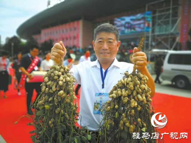 正阳县代兴种业:深学全会精神 让良种真正成为增收“硬支撑”