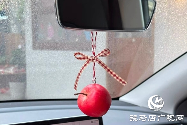 冬季行车需警惕:这些车内“温暖装饰”可能暗藏危险
