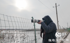 陈东洋：七年守护湿地 为十万候鸟护航