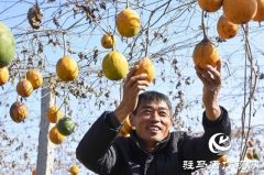 正阳县：电商赋能&ldquo;土特产&rdquo; 连接乡村&ldquo;振兴路&rdquo;