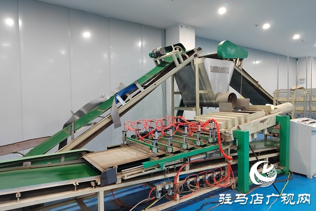 驻马店艾多多生物科技:以硬核品控擦亮天中艾草名片