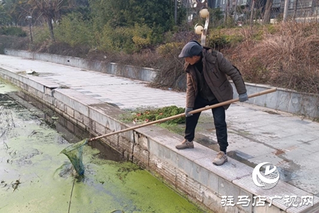 驻马店市园林绿化中心:清理开源河水草 守护河道生态环境