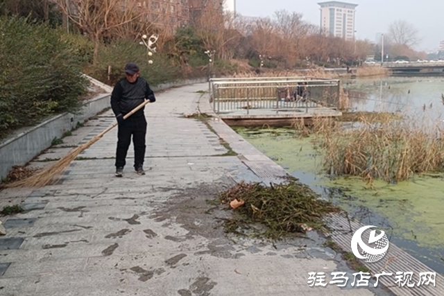 驻马店市园林绿化中心:清理开源河水草 守护河道生态环境