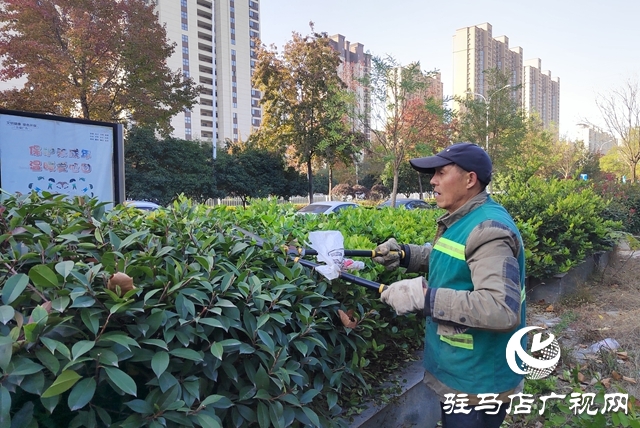 驻马店：冬季管养正当时 绿化养护忙不停 
