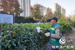 驻马店：冬季管养正当时 绿化养护忙不停 ​​​​​​​
