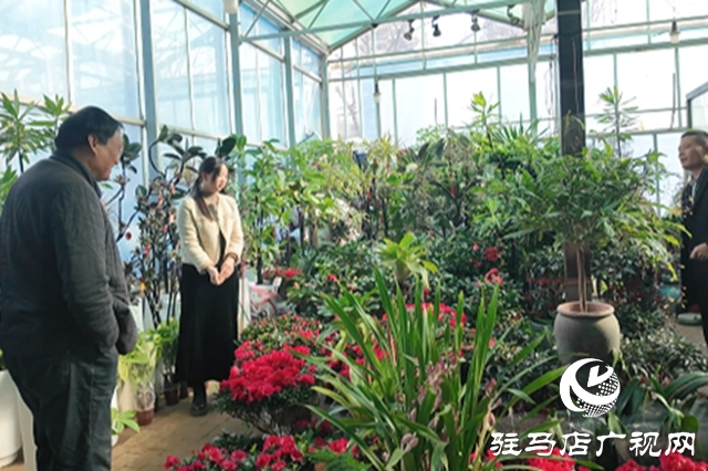 驻马店:年宵花市春意浓 “美丽经济”迎新年