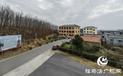 确山县：小琴弦&ldquo;拨动&rdquo;大产业 乡村奏响富民曲