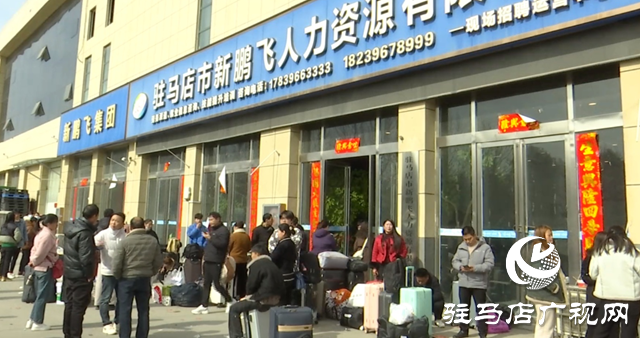 驻马店市新鹏飞人力资源有限公司:贯彻落实全会精神 架起精准就业“连心桥”