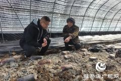 上蔡县杨屯乡杨仕位村：党建引领产业兴 乡村振兴路更宽