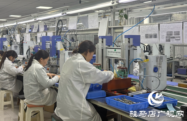 遂平微兴电子:起步即加速 满负荷生产夺“开门红”