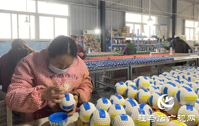 驿城区:宠物玩具“萌”销海外 乡村车间托起致富梦