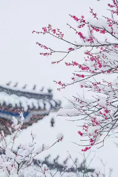 七绝·大寒
