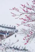 七绝&middot;大寒