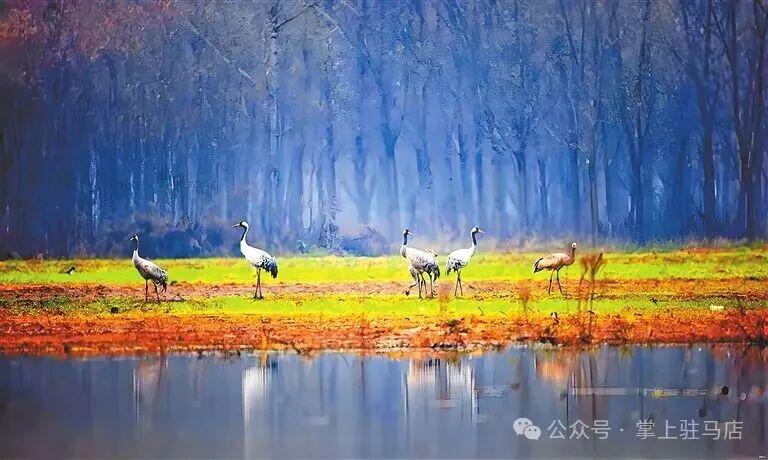 驻马店，凭啥这么“中”？