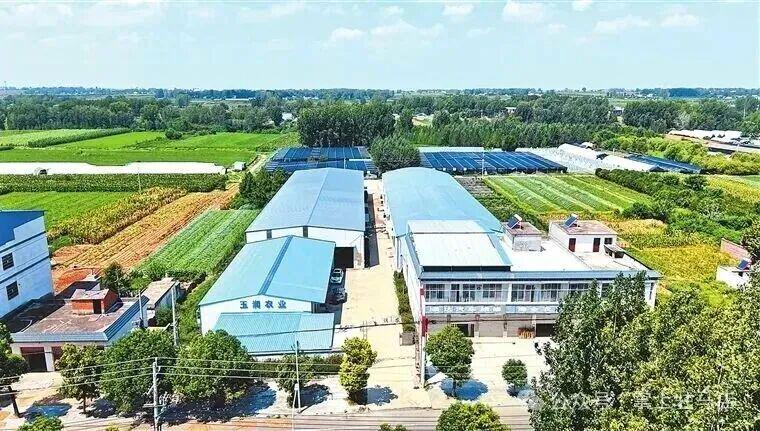 驻马店，凭啥这么“中”？