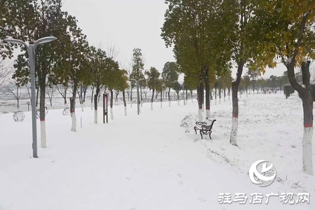 【大美天中】泌阳:瑞雪绘童话 银装映风华