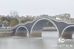 【大美天中】泌阳：瑞雪绘童话 银装映风华
