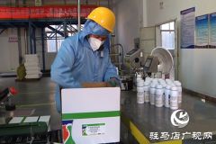 河南粮保作物：加班加点赶订单 冲刺首季&ldquo;开门红&rdquo;