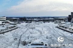 【大美天中】鸟瞰雪后泌阳：银装素裹映天光 小城美卷入画来
