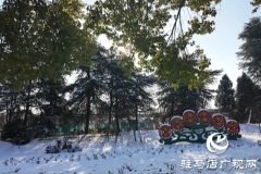 雪后置地公园：银装素裹映笑语