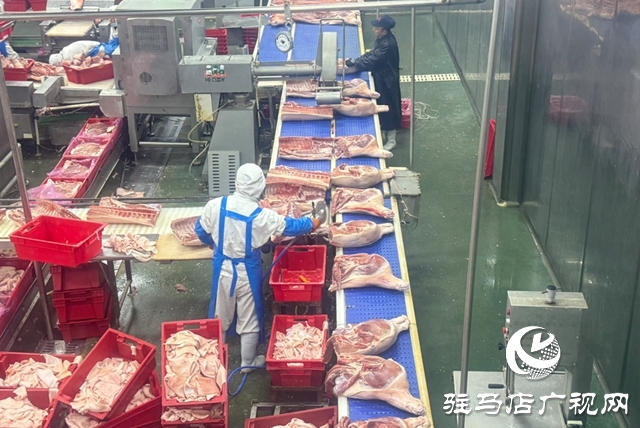 驻马店大红门：满产冲刺迎新春 产销两旺启新程