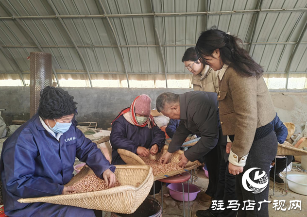 【天中光荣榜】戴子星:四十二载育良种 一生守望丰收路