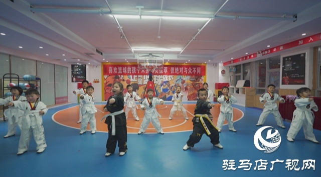 冬日竞技燃激情 体育赋能育新苗——驿城区青少年冬季运动会精彩开赛