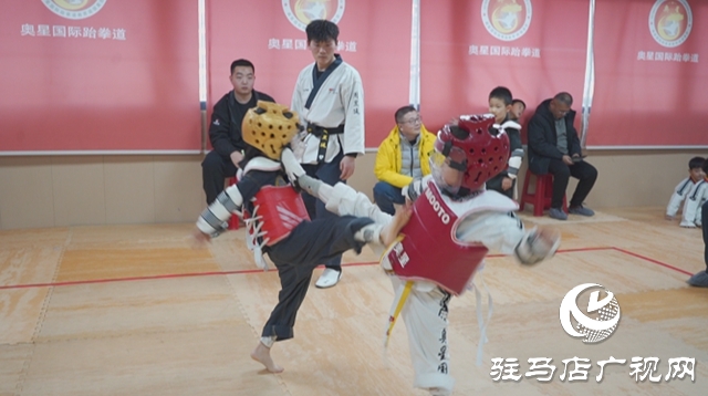 冬日竞技燃激情 体育赋能育新苗——驿城区青少年冬季运动会精彩开赛