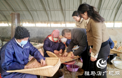 代兴种业：攥紧农业&ldquo;芯片&rdquo; 赋能产业升级