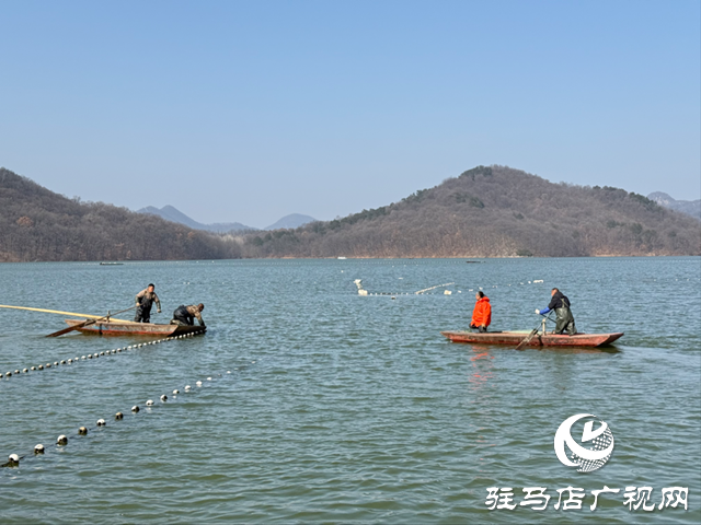 确山县:冬捕开网鱼满舱 湖鲜飘香迎新春