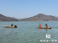 确山县：冬捕开网鱼满舱 湖鲜飘香迎新春