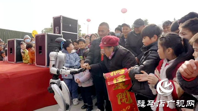 新蔡县:祥龙舞动年味浓 消费助力乡村兴