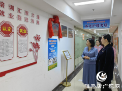 范爱梅：从人力桥梁到技能灯塔 为五千人照亮就业路
