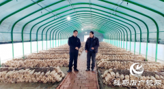 新蔡县黄楼镇石家湖村：深学细悟全会精神 绘就乡村振兴新图景
