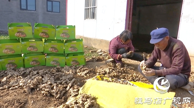 上蔡:传统年货火爆出圈 解锁乡村振兴新味道
