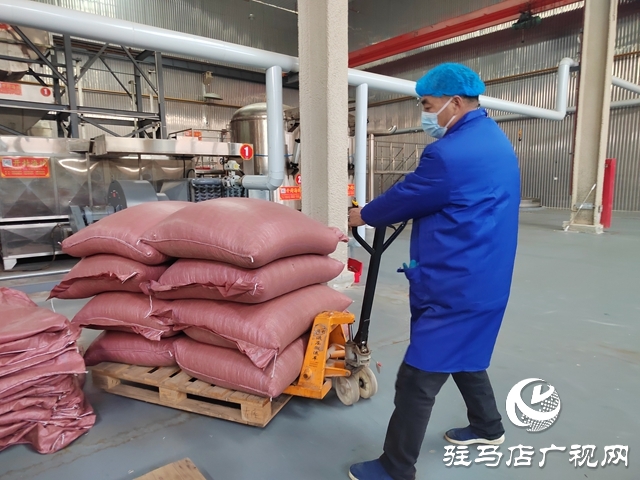 驻马店沃阳食品有限公司:抢抓新春消费潮 以实干拼出新年“开门红”