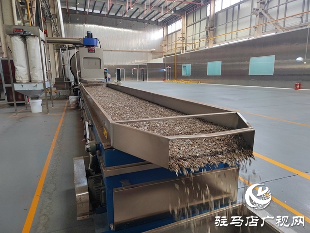 驻马店沃阳食品有限公司:抢抓新春消费潮 以实干拼出新年“开门红”