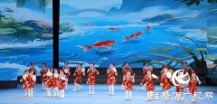 驻马店市举办第八届少儿春节文艺晚会