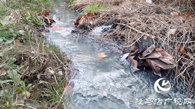 污水不再直排!白桥路管网改造即将竣工 实现全收集处理