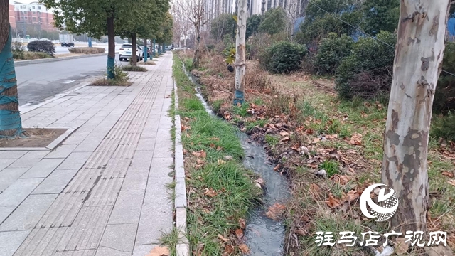 污水不再直排!白桥路管网改造即将竣工 实现全收集处理