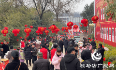 驿城区年货大集开市 &ldquo;芈月古村&rdquo;年味浓活力足