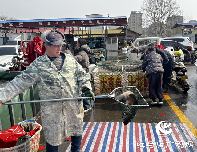 驻马店:年货采购迎高峰 鱼跃人欢年味浓