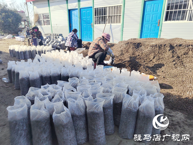 新春走基层丨新岁启封,听他们说……