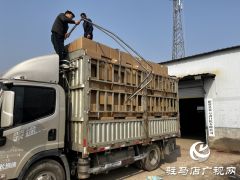 新蔡香云斋日化：盘香产销两旺 线上线下订单忙