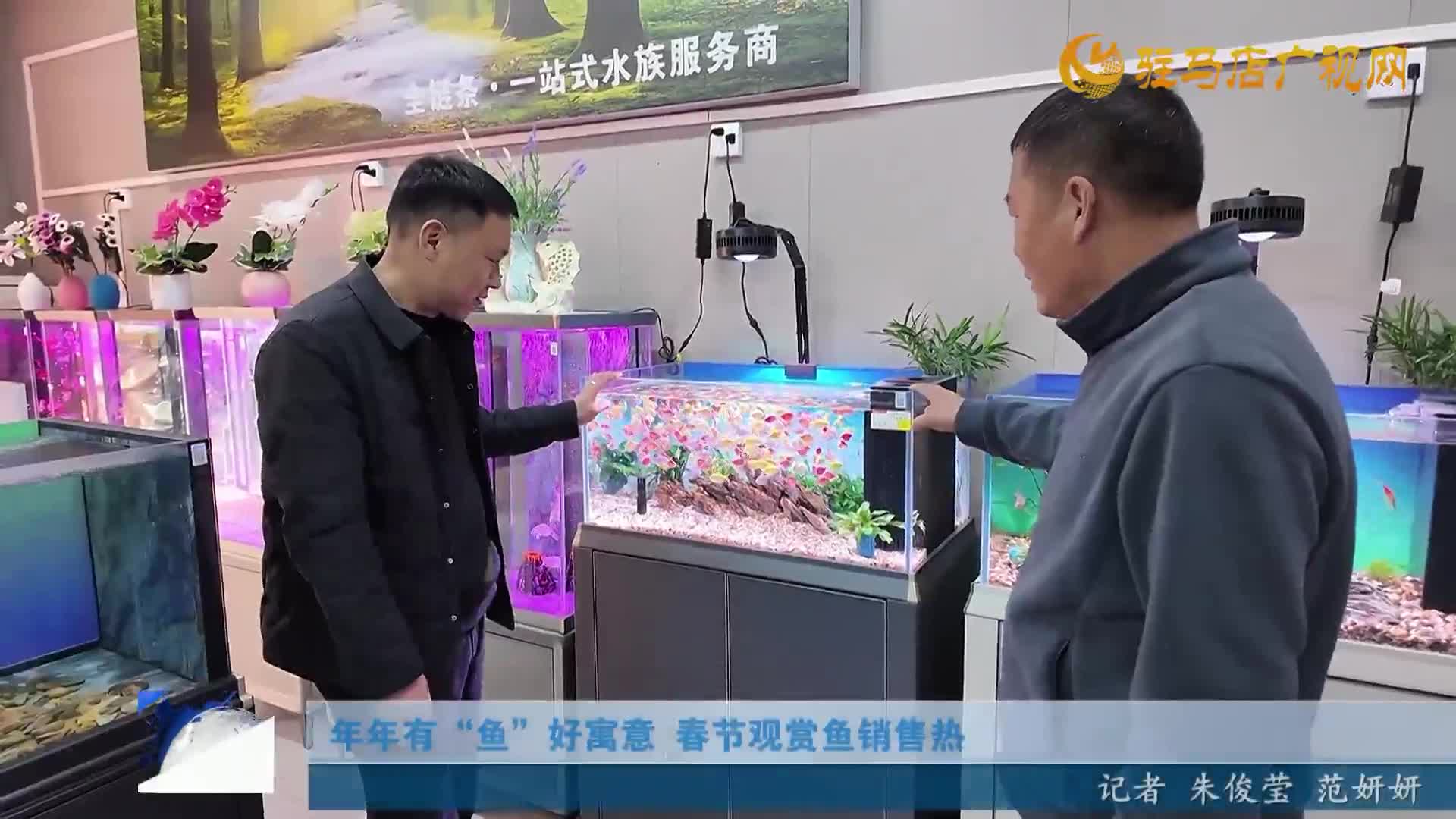 开发区新闻《2026年02月27日》