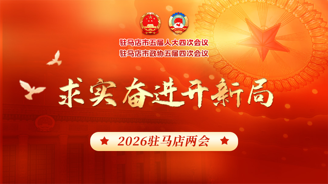 王玲当选为驻马店市人民政府市长，曹广琦当选为驻马店市监察委员会主任