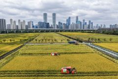 江山壮阔万象新——习近平总书记引领中国式现代化新征程