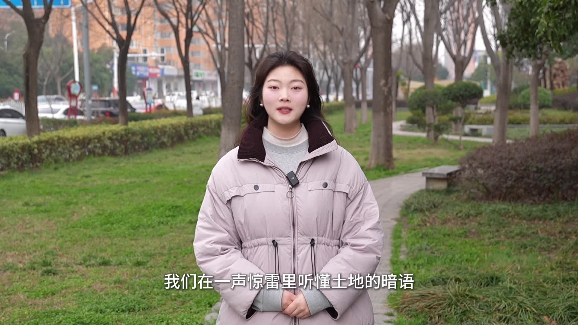 惊蛰