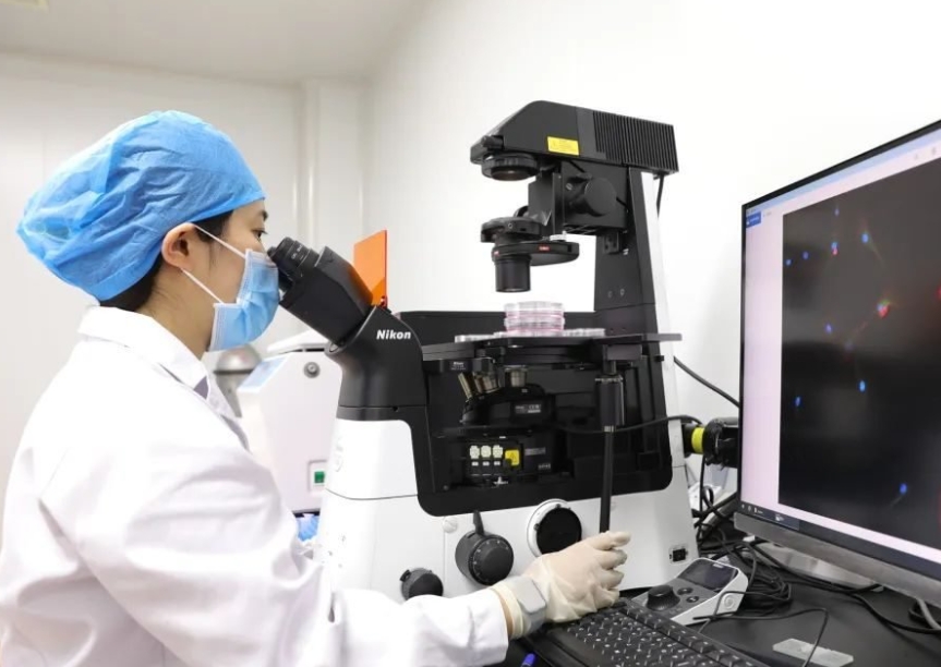 科研人员在实验室生成抗肿瘤免疫细胞