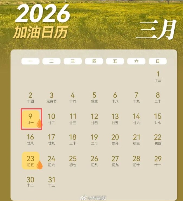 驻马店人赶紧去加油！今天油价调整，或迎年内最大涨幅